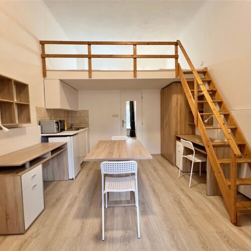 Podnájem jednotky 1+kk u Mendlova náměstí