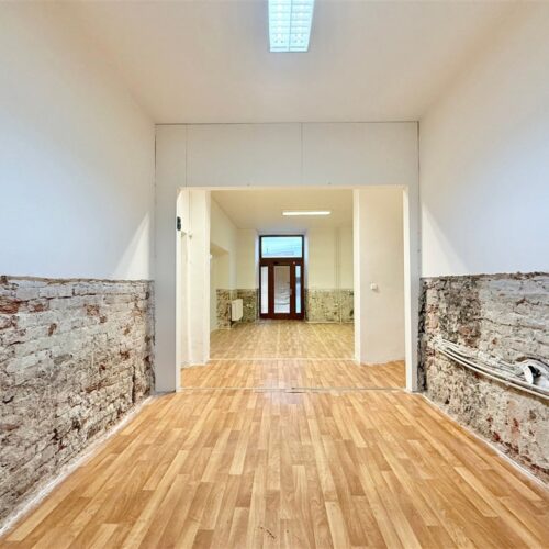 Komerční prostor na frekventované Václavské ulici