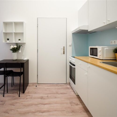 Jednotka 2+1 u Mendlova náměstí