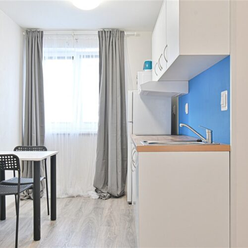 Podnájem zrekonstruované jednotky 1+1 u Mendlova náměstí