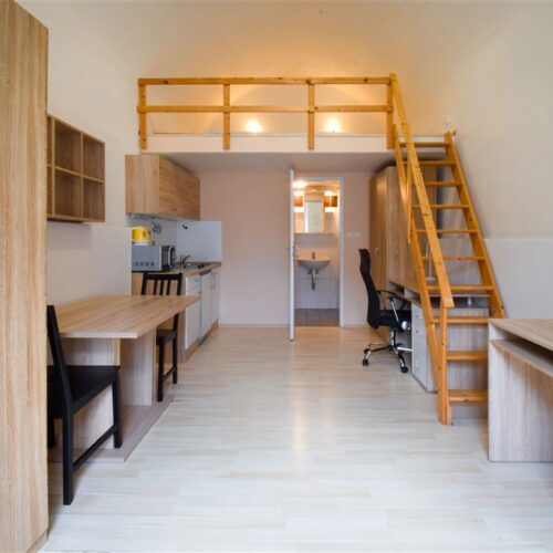 Podnájem 1+kk u Mendlova náměstí