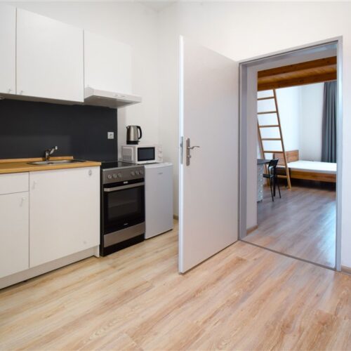 Podnájem jednotky 1+1 u Mendlova nám.