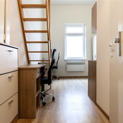 Podnájem 1+kk u Mendlova náměstí