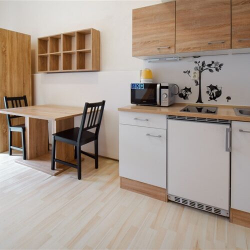 Podnájem 1+kk u Mendlova náměstí