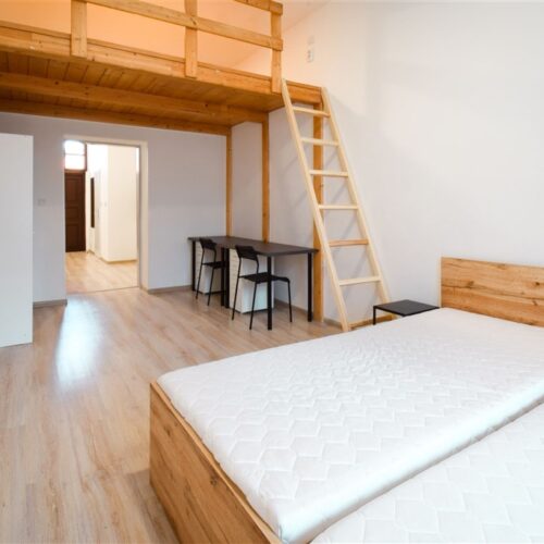 Podnájem jednotky 1+1 u Mendlova nám.