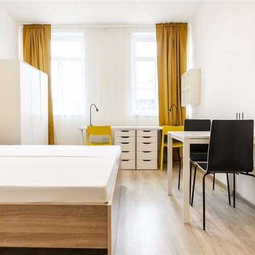 Podnájem 1+kk u Mendlova náměstí