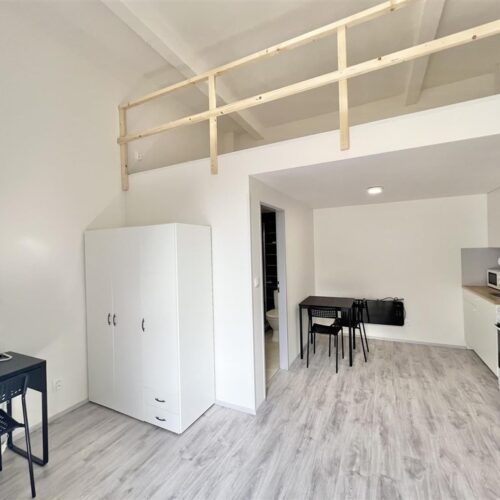 Podnájem mezonetové jednotky 1+kk u Mendlova náměstí