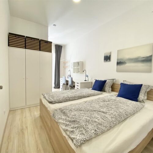 Podnájem jednotky 1+kk u Mendlova náměstí