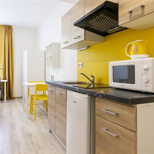 Podnájem 1+kk na ulici Hybešova